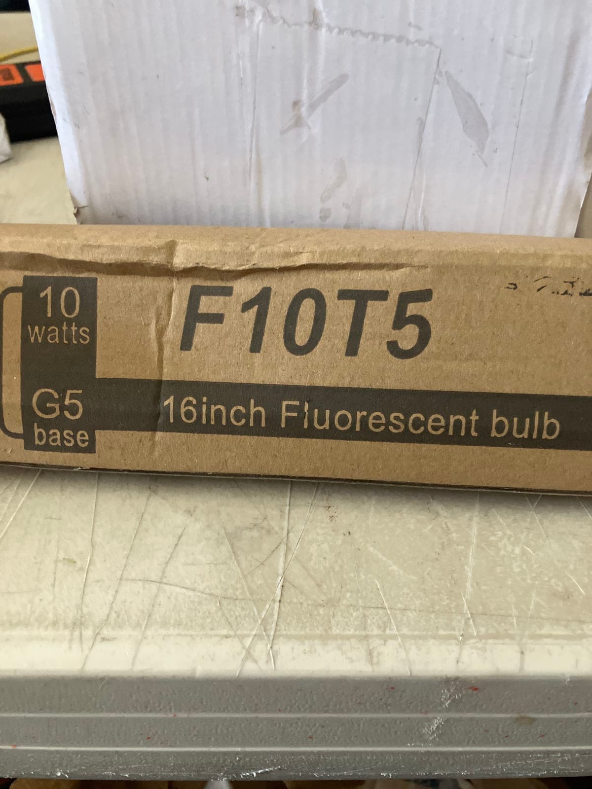F10T5 16-Inch Fluorescent Bulb - 10 Watts G5 Base