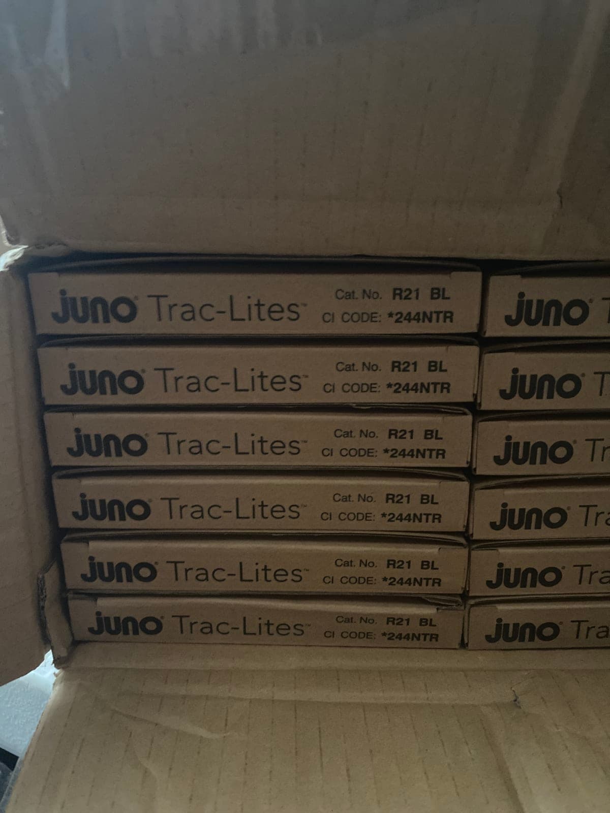 Juno Track Lighting R21BL (R21 BL) Trac Lites End Feed Connector and Outlet Box Cover, Black Color