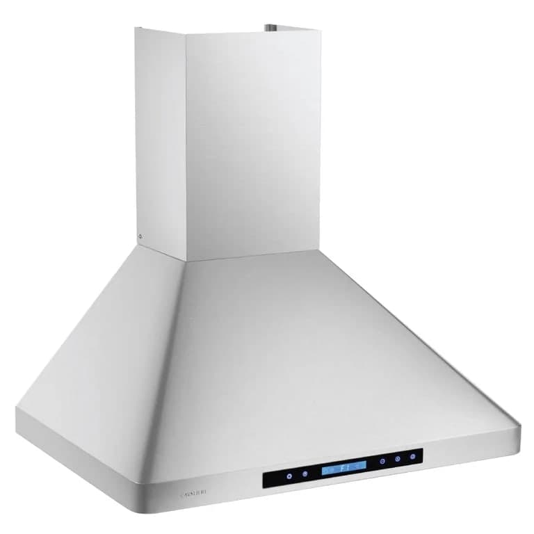 EALLMALL 30 Inch Professional Style Wall Mounted Stainless Steel Range Hood