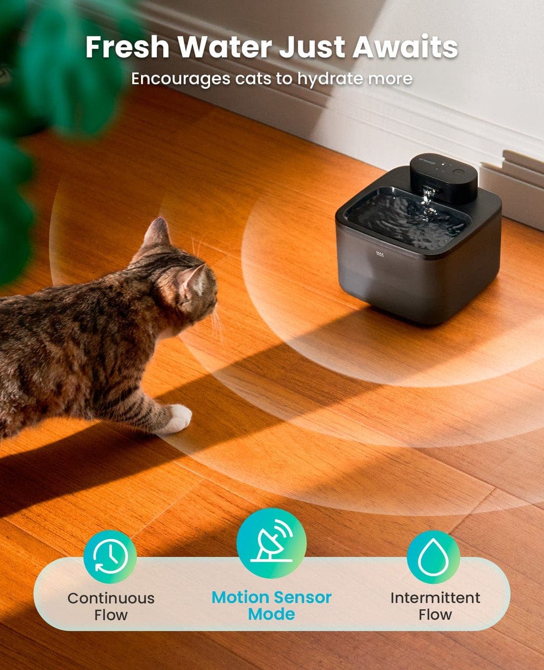 Bluetooth Water Fountain for Cats